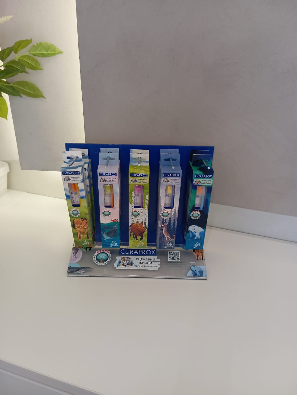 2a008628-b5c8-4427-8a6a-507657eff8e3