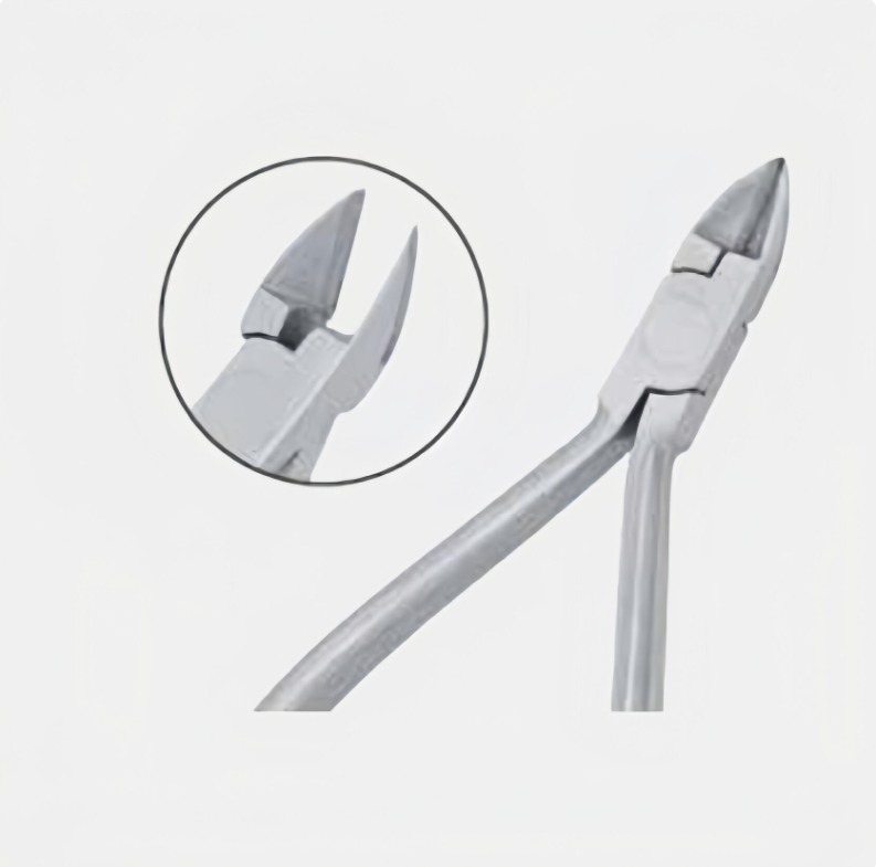 WhatsApp Image 2025-04-29 at 14.41.52