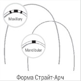 00000015770