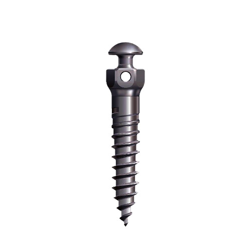miniimplantat5