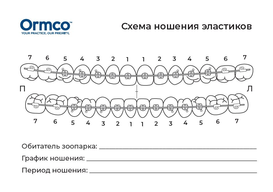УТ000016954