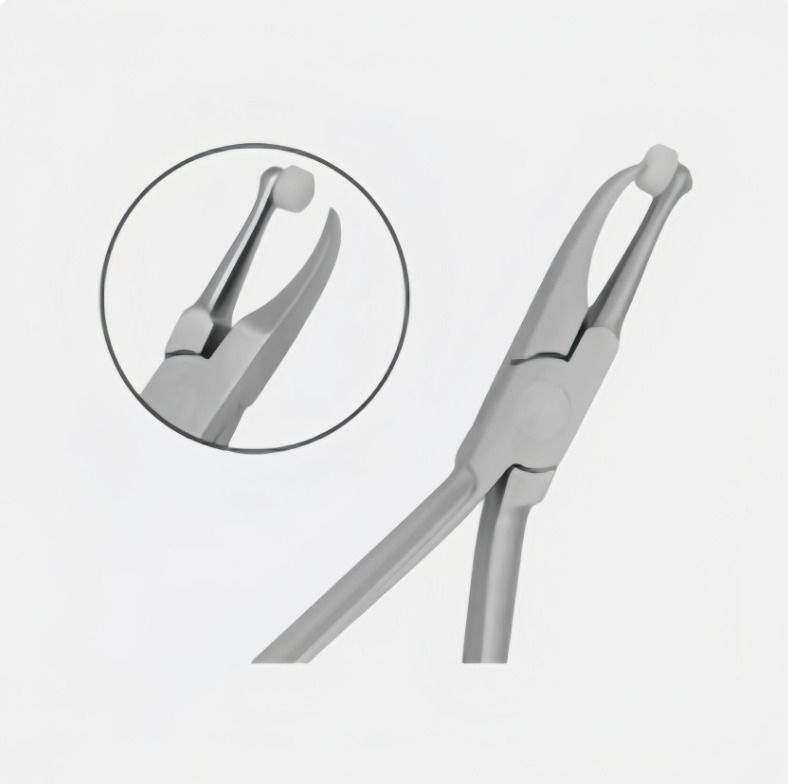 WhatsApp Image 2025-04-29 at 16.23.03