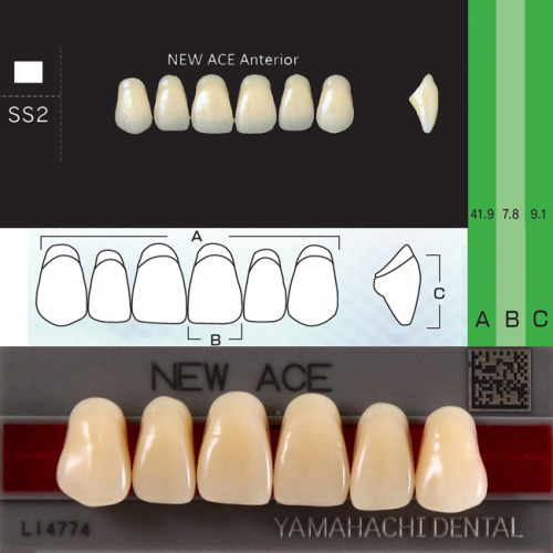 00000013463