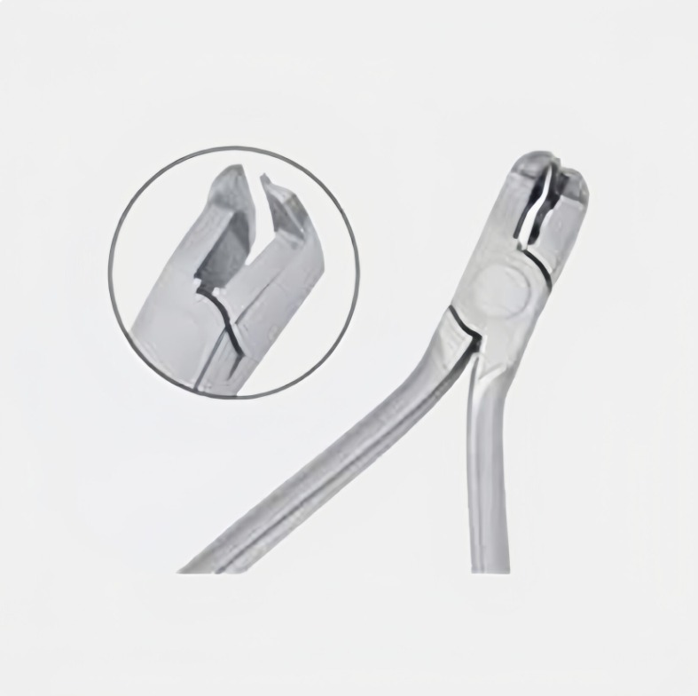 WhatsApp Image 2025-04-29 at 16.19.19