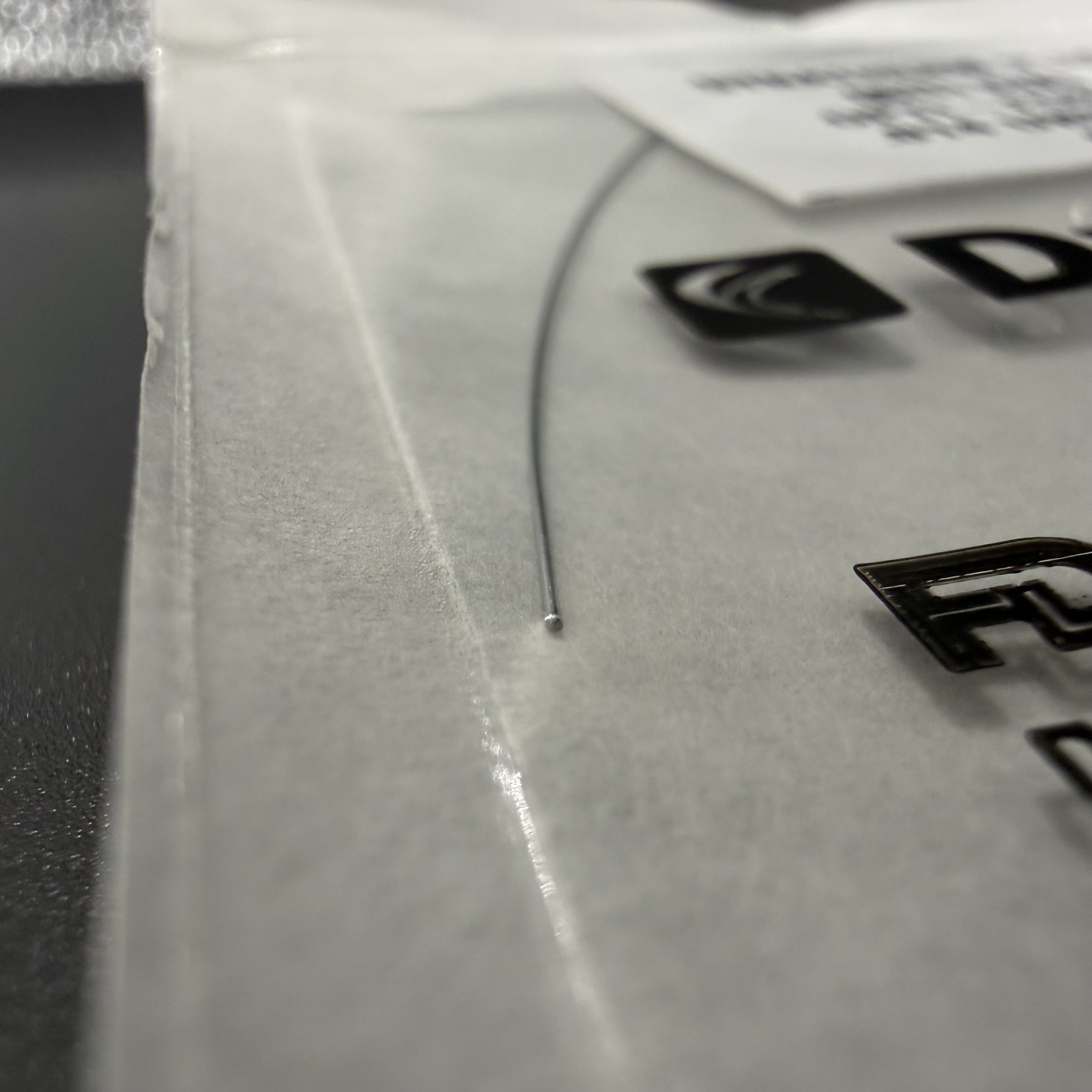 IMG_6151